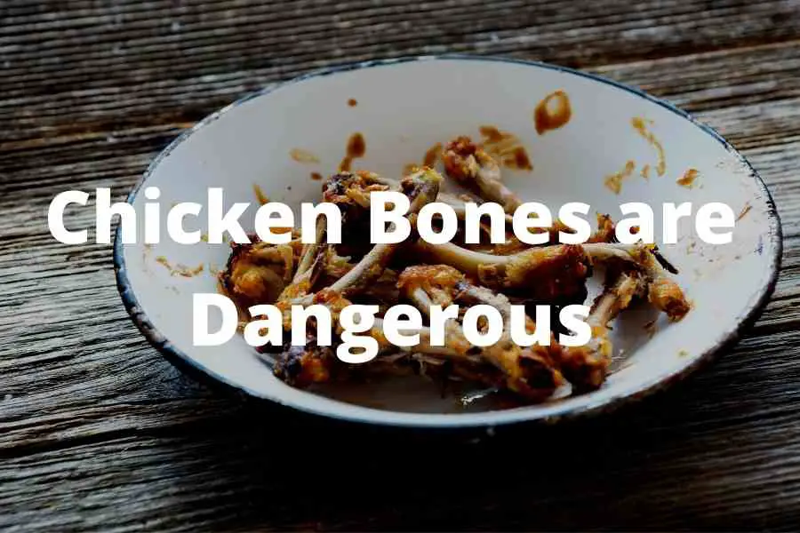 chicken bones on a plate