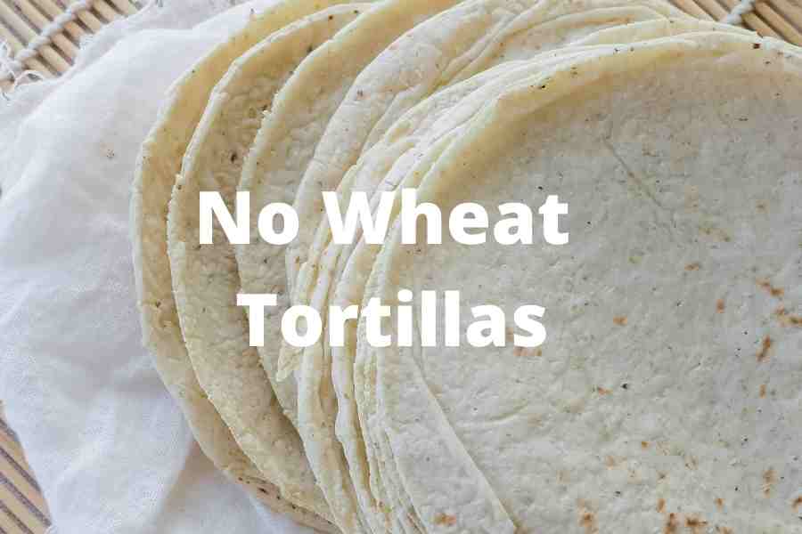 are corn tortillas safe for dogs to eat