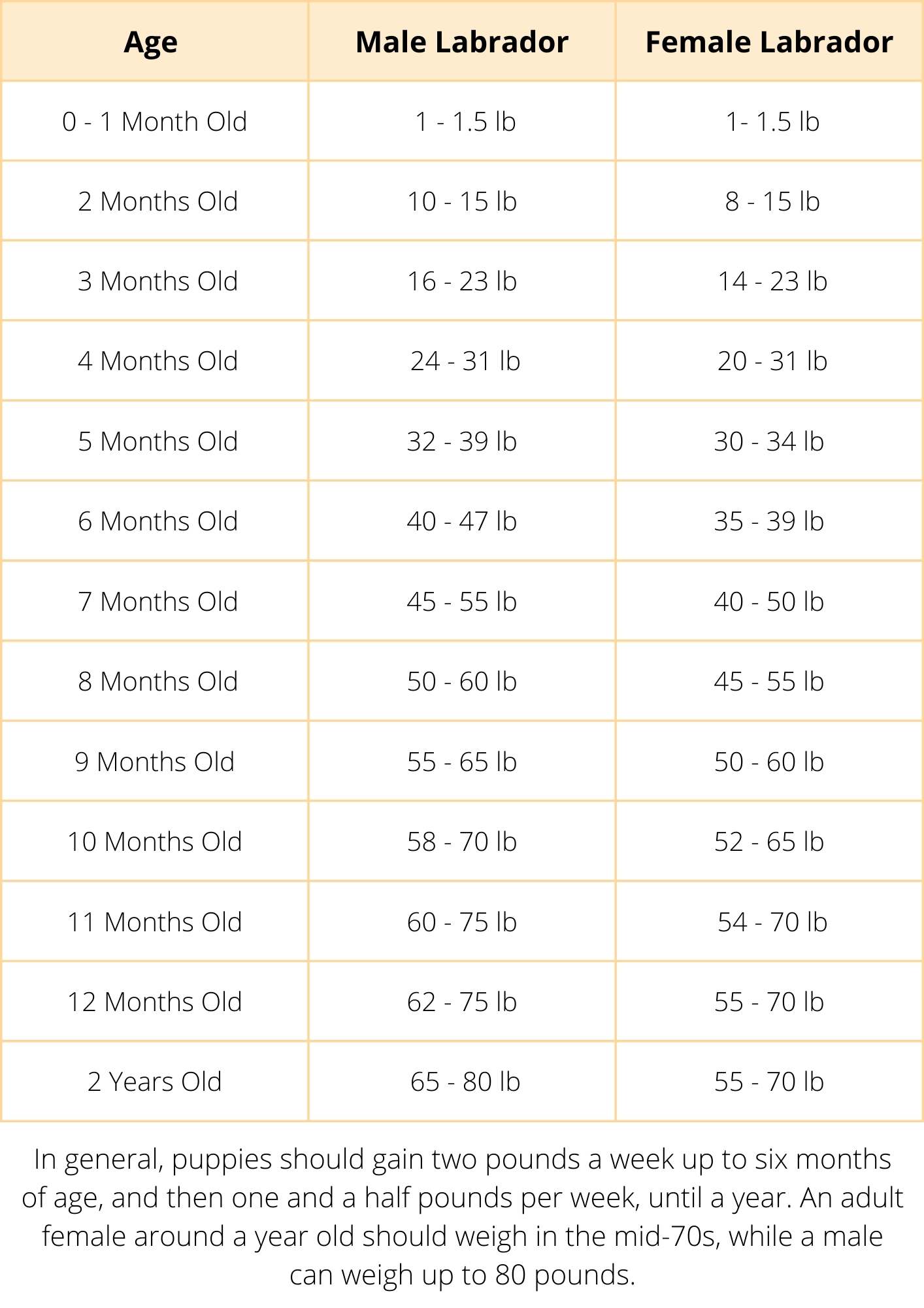 Weight Chart For Labrador Retriever