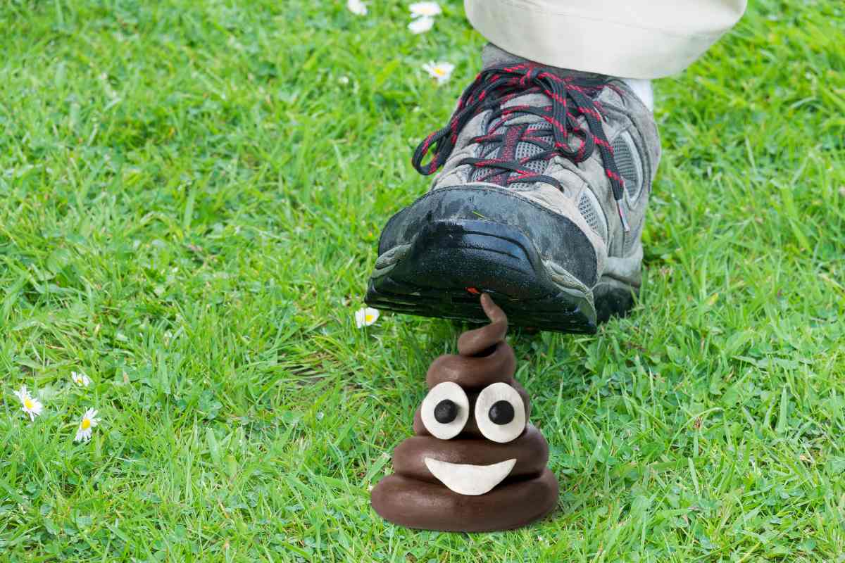 How Long Does It Take For Dog Poop To