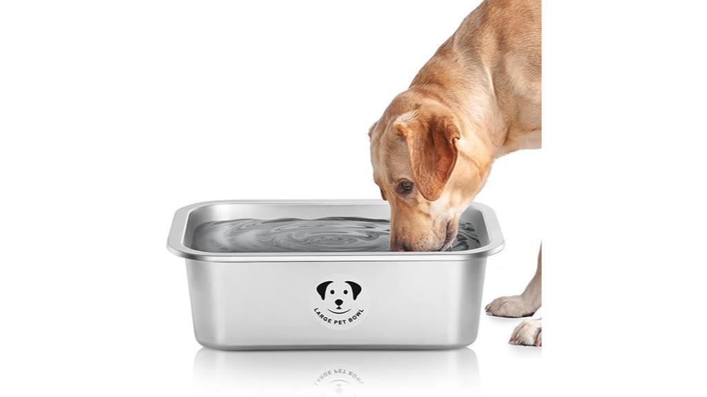 quality dog bowls reviewed