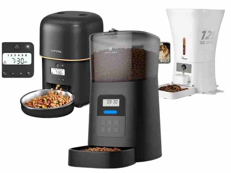 the best automatic dog feeder for labs