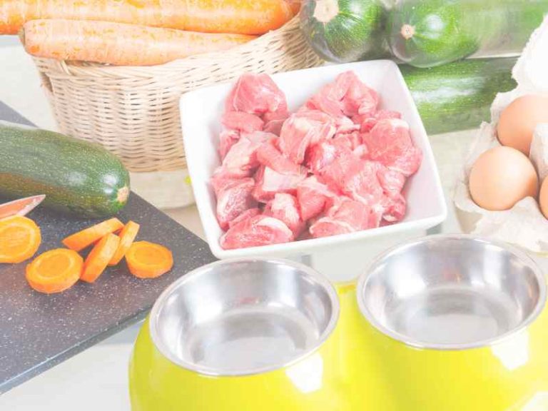 4 Simple Homemade Meals For Happy Labradors