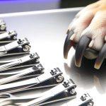 top nail clippers for big dogs with thick nails
